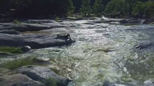 Chica acostada en piedra entre los rápidos del río — Vídeo de stock