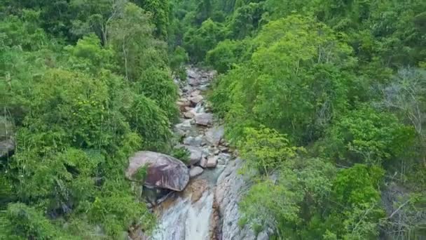 Pequena cachoeira na floresta de montanha — Vídeo de Stock