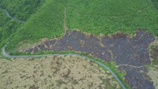 Road in highland tropical jungle — Stock Video