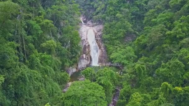 Petite cascade en forêt de montagne 