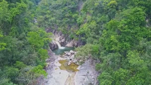Малий водоспад у гірському лісі — стокове відео