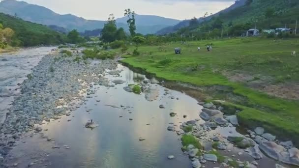 Stenen rivier in tropische hoogland-jungle — Stockvideo