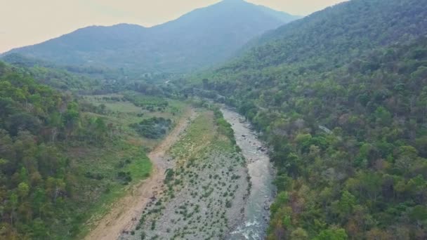 Каменная река в тропических высокогорных джунглях — стоковое видео