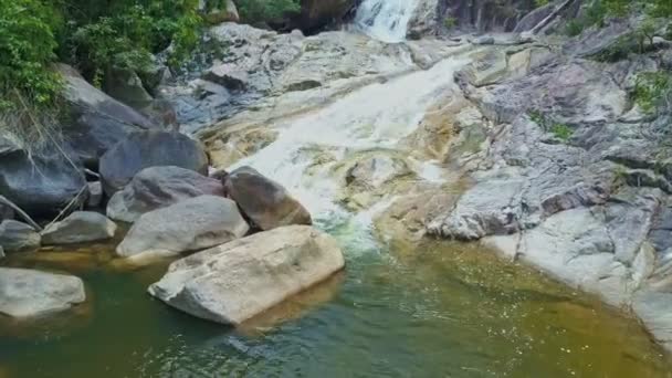 Gebirgsfluss fließt in tropischen Wald — Stockvideo