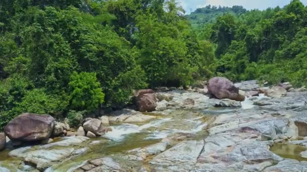 Creek strömmar bland tropisk skog — Stockvideo