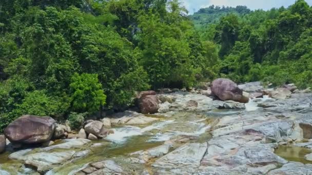 Torrenti torrenti tra foreste tropicali — Video Stock