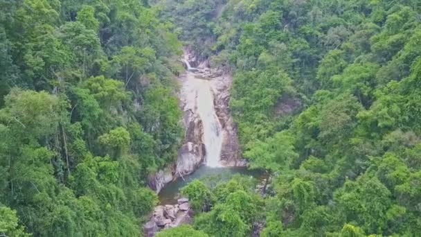 Pequeña cascada en bosque de montaña — Vídeo de stock