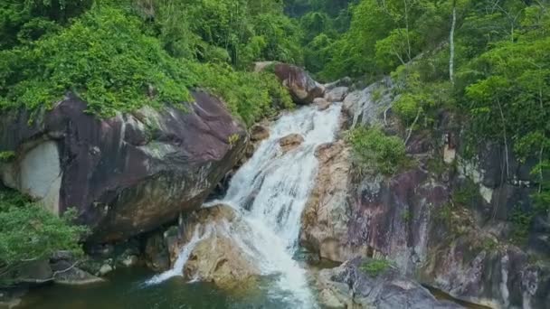 Pequeña cascada en bosque de montaña — Vídeo de stock