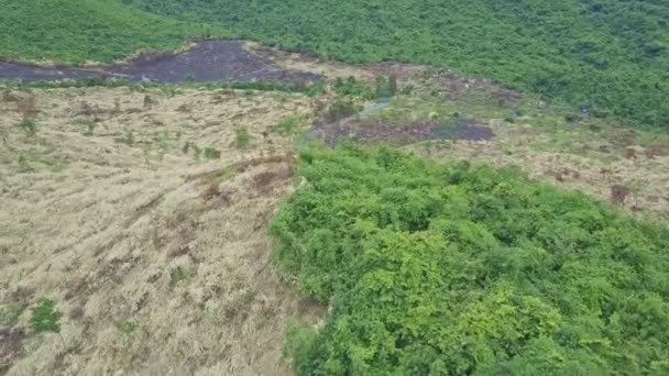 Високогір'я з впалою для сільськогосподарських цілей місцевості серед джунглів — стокове відео