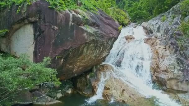 Малий водоспад у гірському лісі — стокове відео