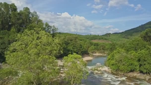 Νερό του ποταμού στο βουνό με επικάλυψη Ράπιντς — Αρχείο Βίντεο