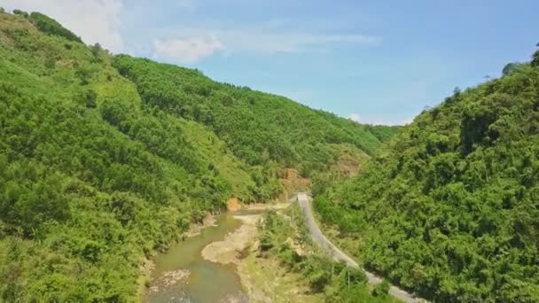 Râu printre pietre în pădurea muntoasă — Videoclip de stoc