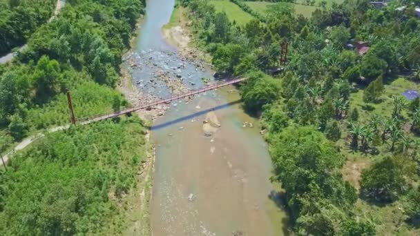 Rio entre pedras em floresta montanhosa — Vídeo de Stock