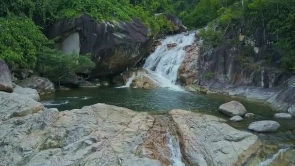 Piccola cascata nella foresta di montagna — Video Stock