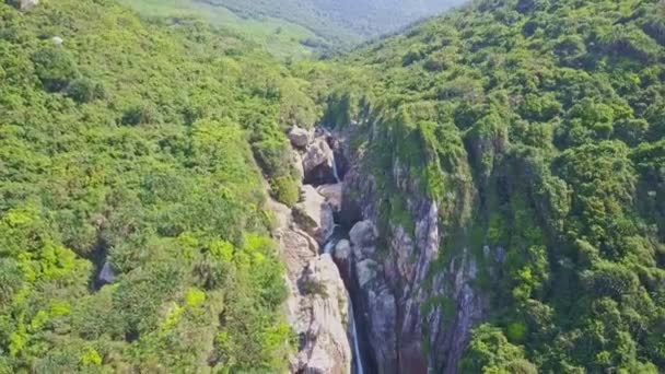 Montagnes couvertes de jungles tropicales profondes — Video