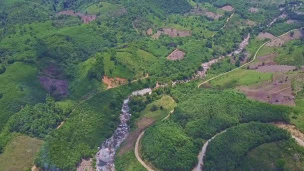 Rio de montanha entre pedras entre selva — Vídeo de Stock