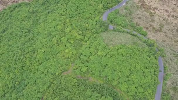 Дорога в високогірних тропічних джунглях — стокове відео