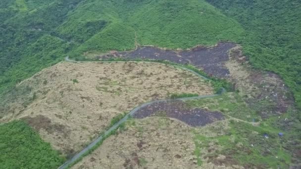 Carretera en la selva tropical de las tierras altas — Vídeos de Stock