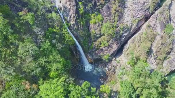Vodopád tagu v tropické džungli Vysočiny — Stock video