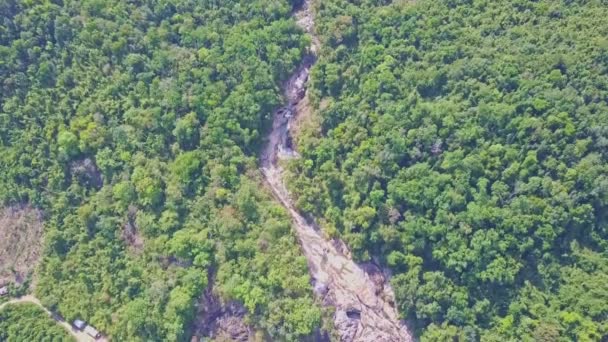 Fluss im grenzenlosen tropischen Dschungel — Stockvideo