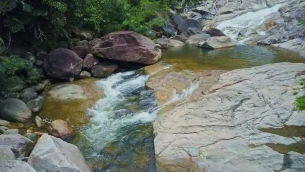 Rio de montanha que corre na floresta tropical — Vídeo de Stock