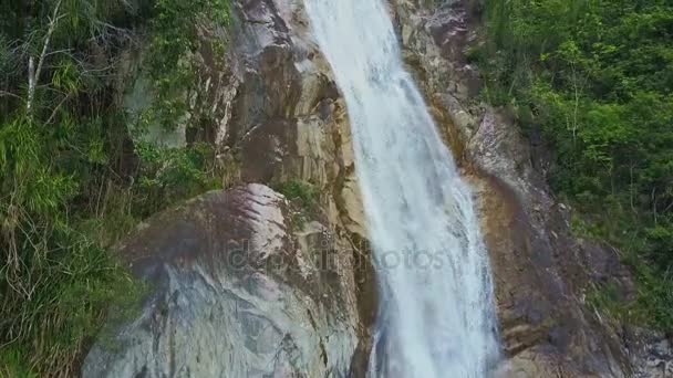 Petite cascade en forêt de montagne 