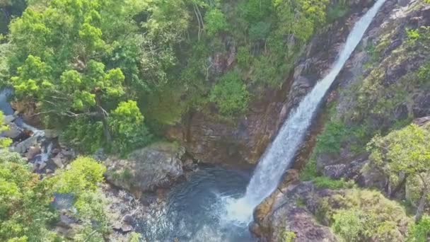 Tagu-Wasserfall im tropischen Hochlanddschungel — Stockvideo