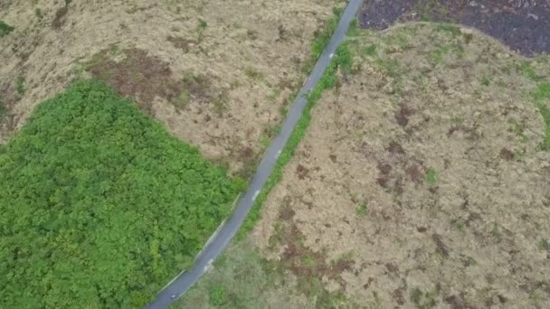 Silnice v highland tropické džungle — Stock video