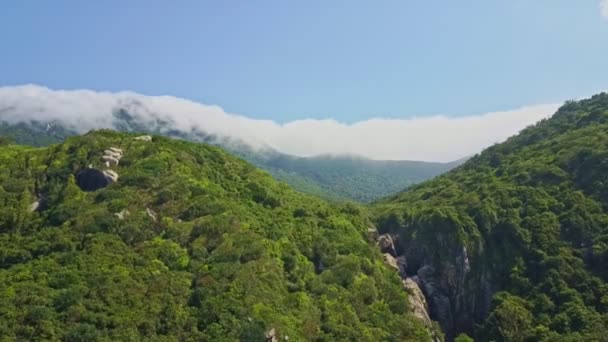 Hory pokryté hluboko tropické džungle — Stock video