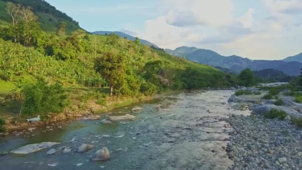 Kő trópusi hegyvidéki dzsungel-folyó — Stock videók