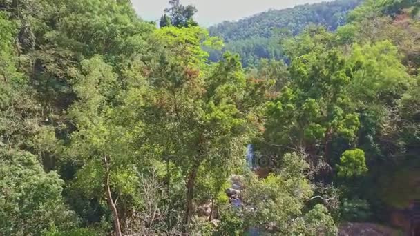 Tagu-Wasserfall im tropischen Hochlanddschungel — Stockvideo