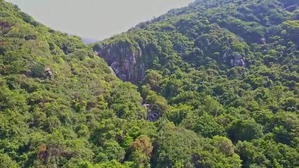 Montagnes couvertes de jungles tropicales profondes — Video