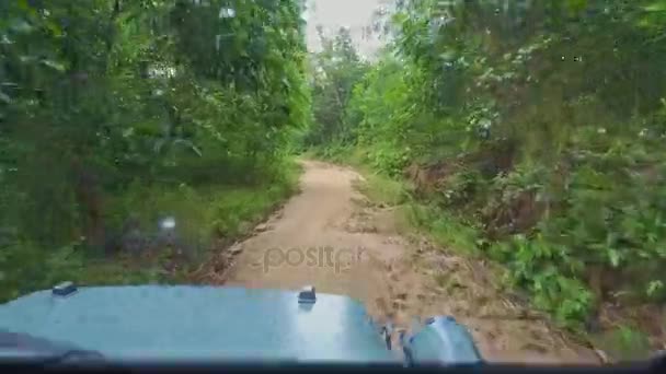 Jeep drives on dirty road in forest — Stock Video