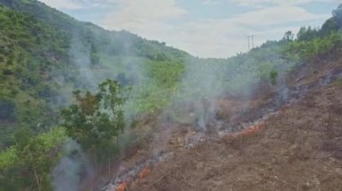 Orman ormanda yanan duman