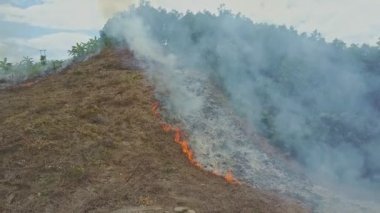 Orman ormanda yanan duman