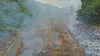 Orman ormanda yanan duman