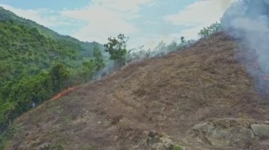 Orman ormanda yanan duman