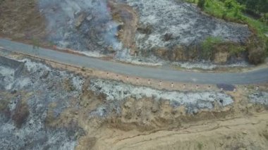 Orman ormanda yanan duman