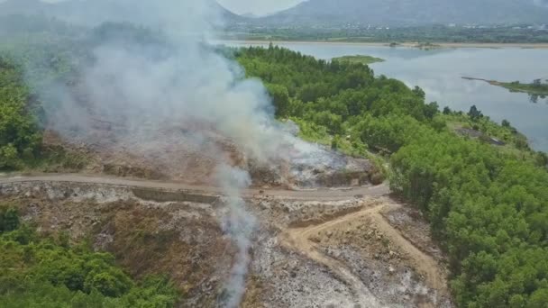 Rök brinnande i djungeln skogen — Stockvideo