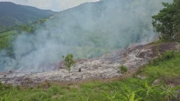 Humo ardiendo en la selva — Vídeo de stock