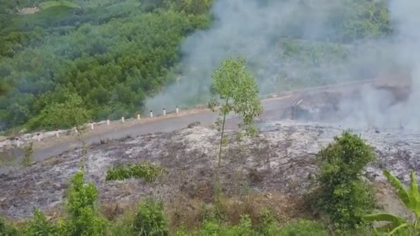 Rök brinnande i djungeln skogen — Stockvideo