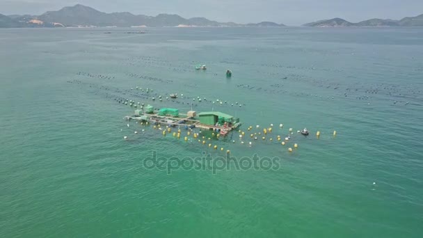 Granja de pesca con redes y barcos en el océano — Vídeos de Stock