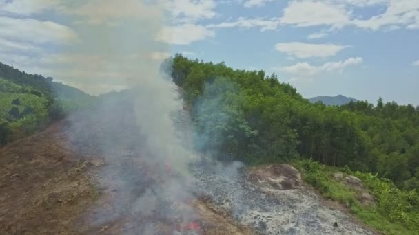 combustion de fumée dans la forêt de jungle 