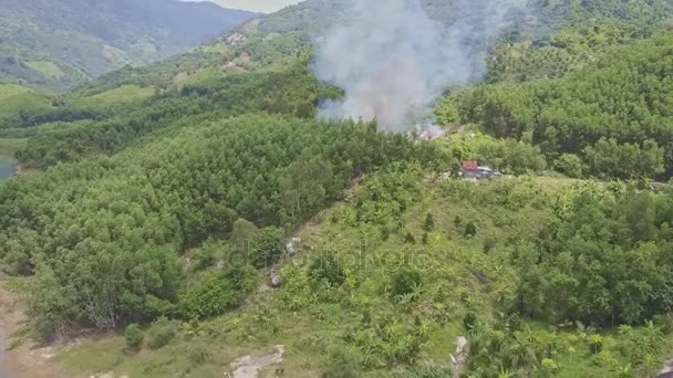 fumée dans la forêt de jungle près du lac 