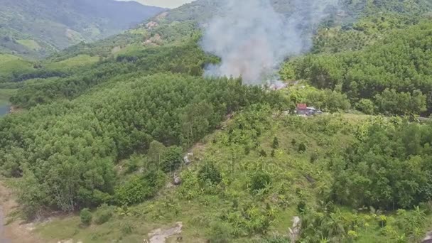 Fumaça na floresta da selva perto do lago — Vídeo de Stock