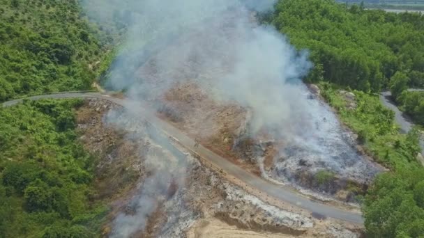 Fumaça queimando na floresta da selva — Vídeo de Stock