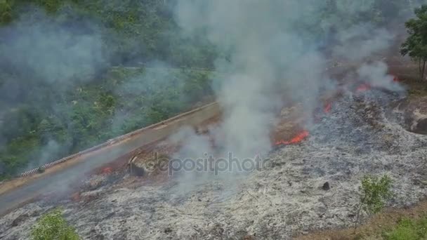 Smoke burning in jungle forest — Stock Video