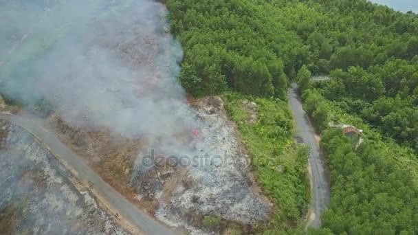 Fumo che brucia nella foresta della giungla — Video Stock