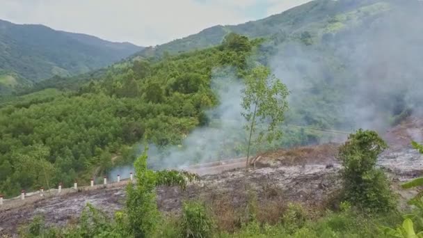 combustion de fumée dans la forêt de jungle 