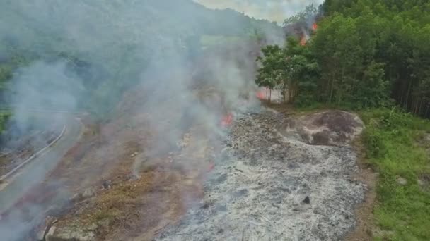 Rök brinnande i djungeln skogen — Stockvideo